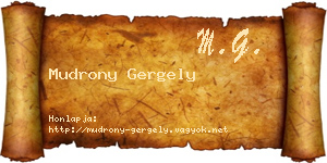 Mudrony Gergely névjegykártya