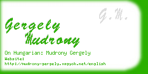 gergely mudrony business card